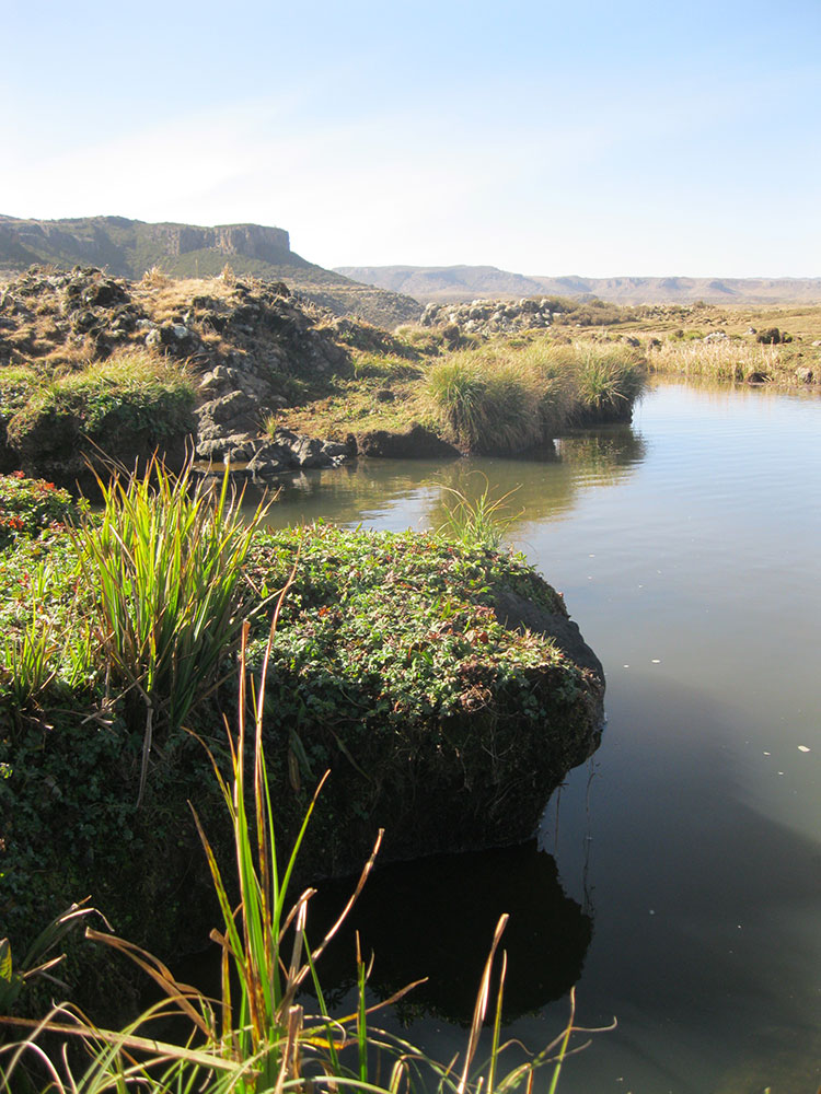 Bale Mountains National Park
