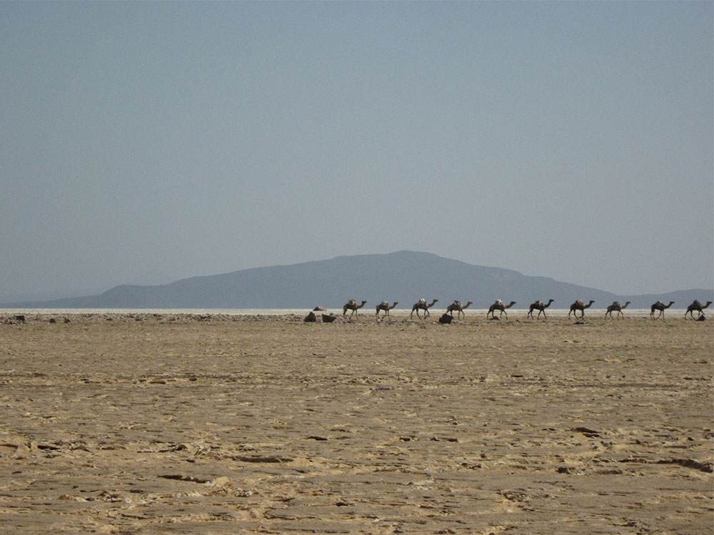 Afar Region / Denakil Depression